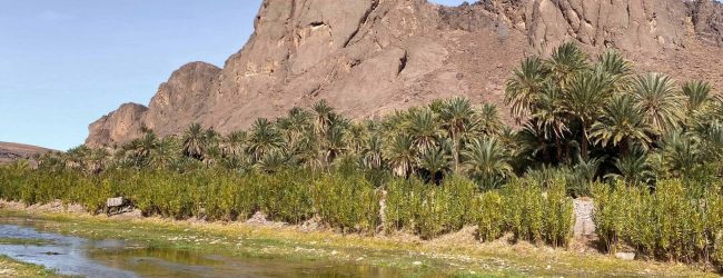 Savourer l’instant