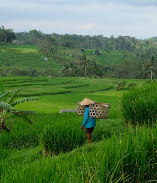 Bali