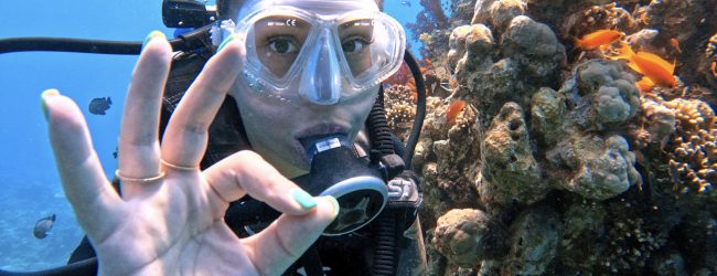 Plongez dans un autre monde