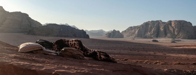 Une journée hors du temps
