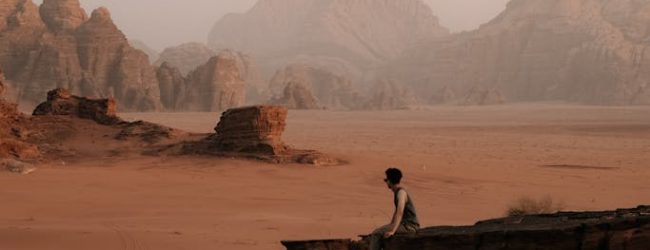 Vivez le désert comme un bédouin