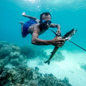 Sulawesi plongée Mai 2025