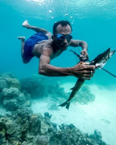 Sulawesi plongée Mai 2025