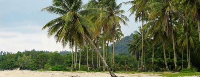 Quand la nuit dévoile ses secrets