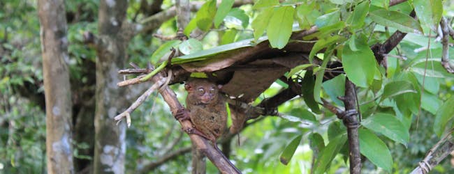 Vers des horizons encore plus lointains