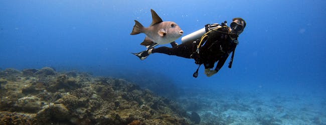 Quand le mental lâche avant toi