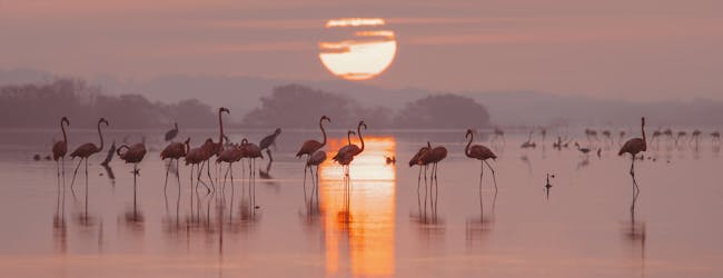 Fermer ce qui est resté ouvert