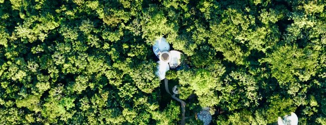 Réapprendre la douceur