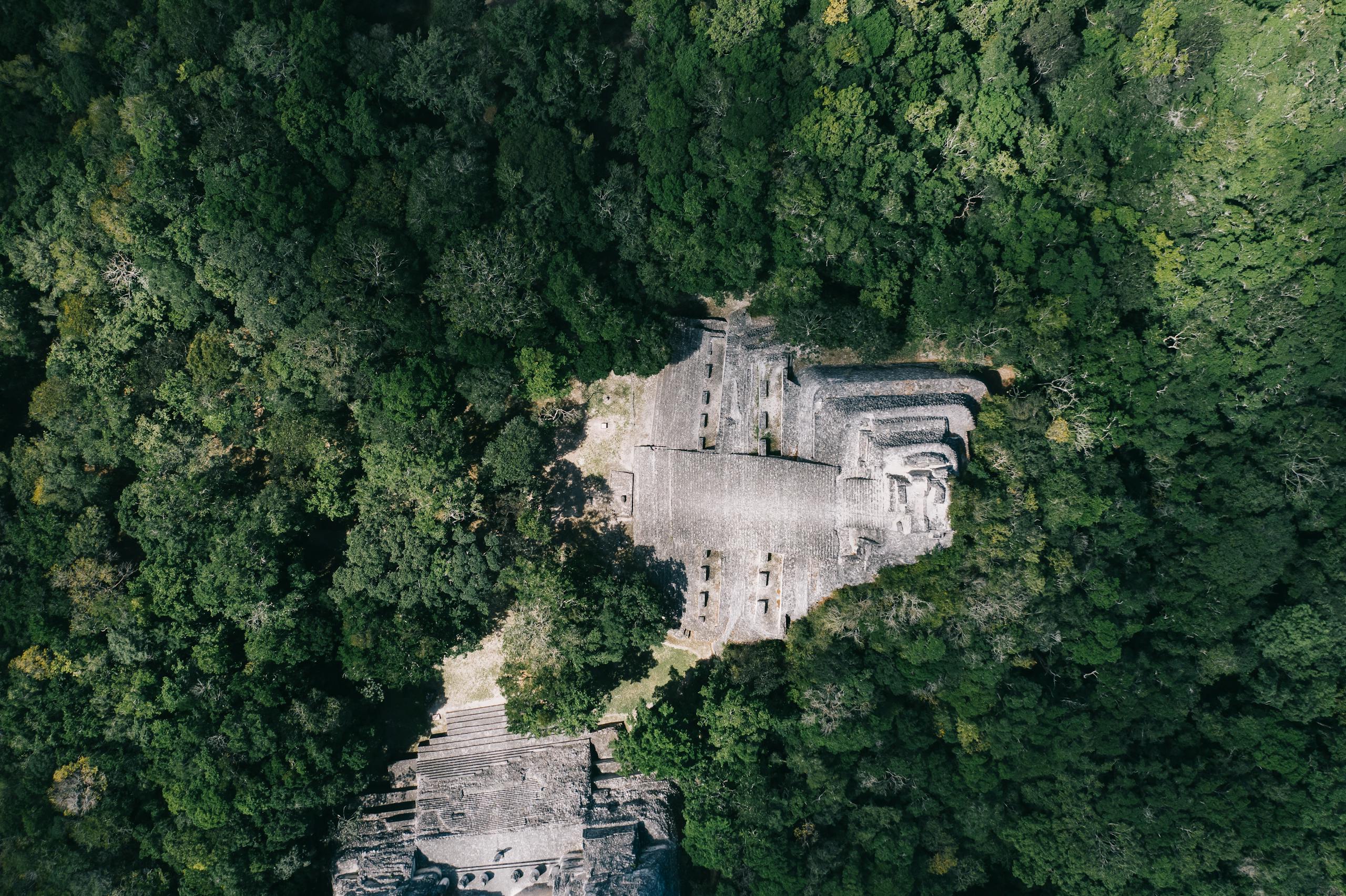 Overhead shot of temple ruins nestled in dense forest, Mexico.