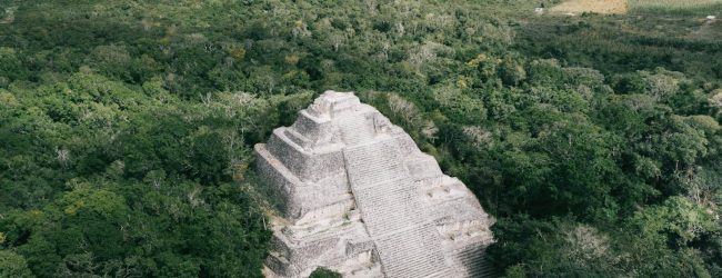 Explorer l’extérieur, rencontrer l’intérieur