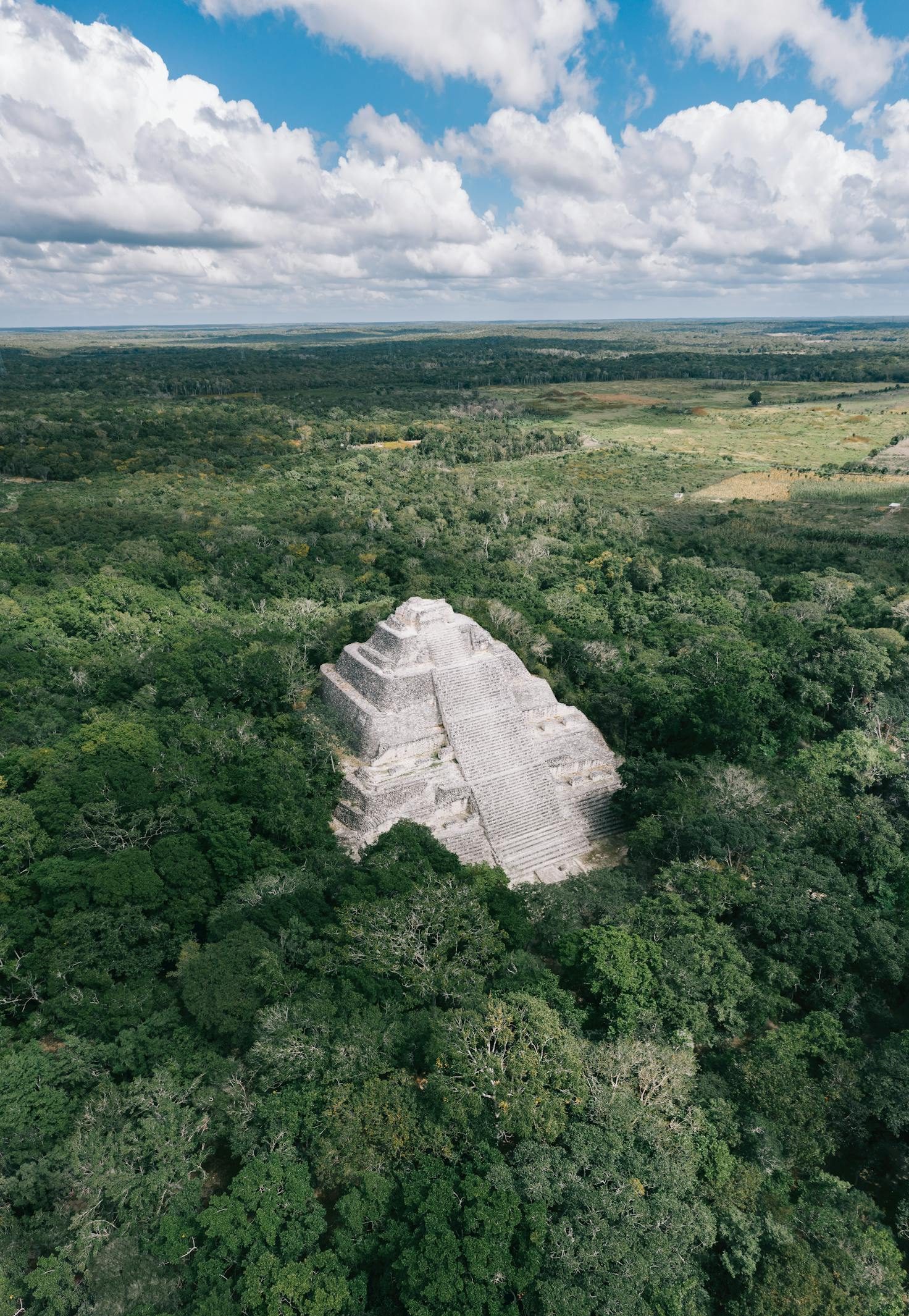 Stunning drone shot of ancient Calakmul archaeological site surrounded by lush green jungle.