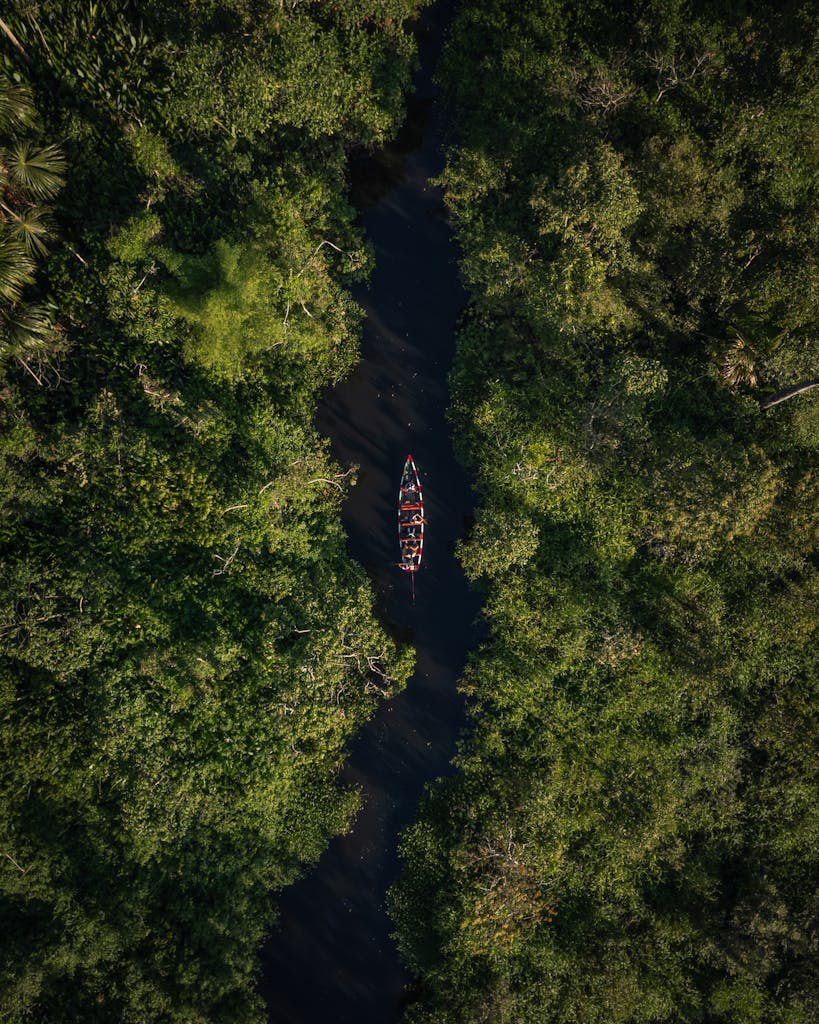 Aerial shot of a canoe navigating a dense jungle river in Rioja, San Martín, Peru, showcasing vibrant natural beauty.