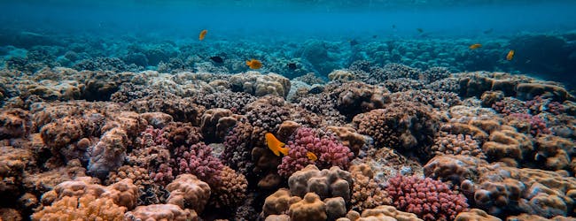 Revenir à une précision simple