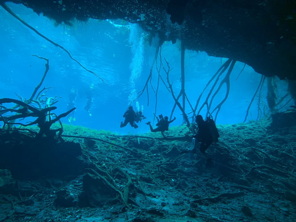 Scuba divers exploring an underwater cave with breathtaking blue water and intricate rock formations.