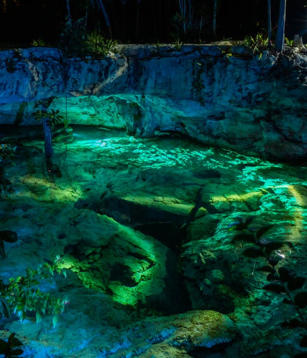 Édition Puissance – Plongée Cénotes et Requins