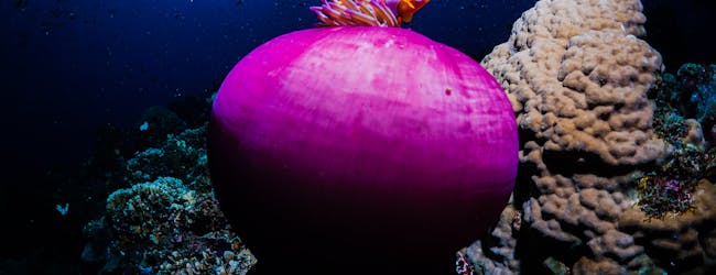 La rencontre en milieu naturel